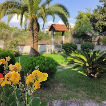 شقة I Giardini Di Plinio - Elegante E Luminoso. بوسكوريليه المظهر الخارجي الصورة