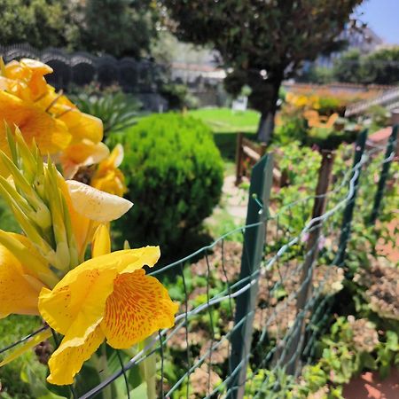 شقة I Giardini Di Plinio - Elegante E Luminoso. بوسكوريليه المظهر الخارجي الصورة