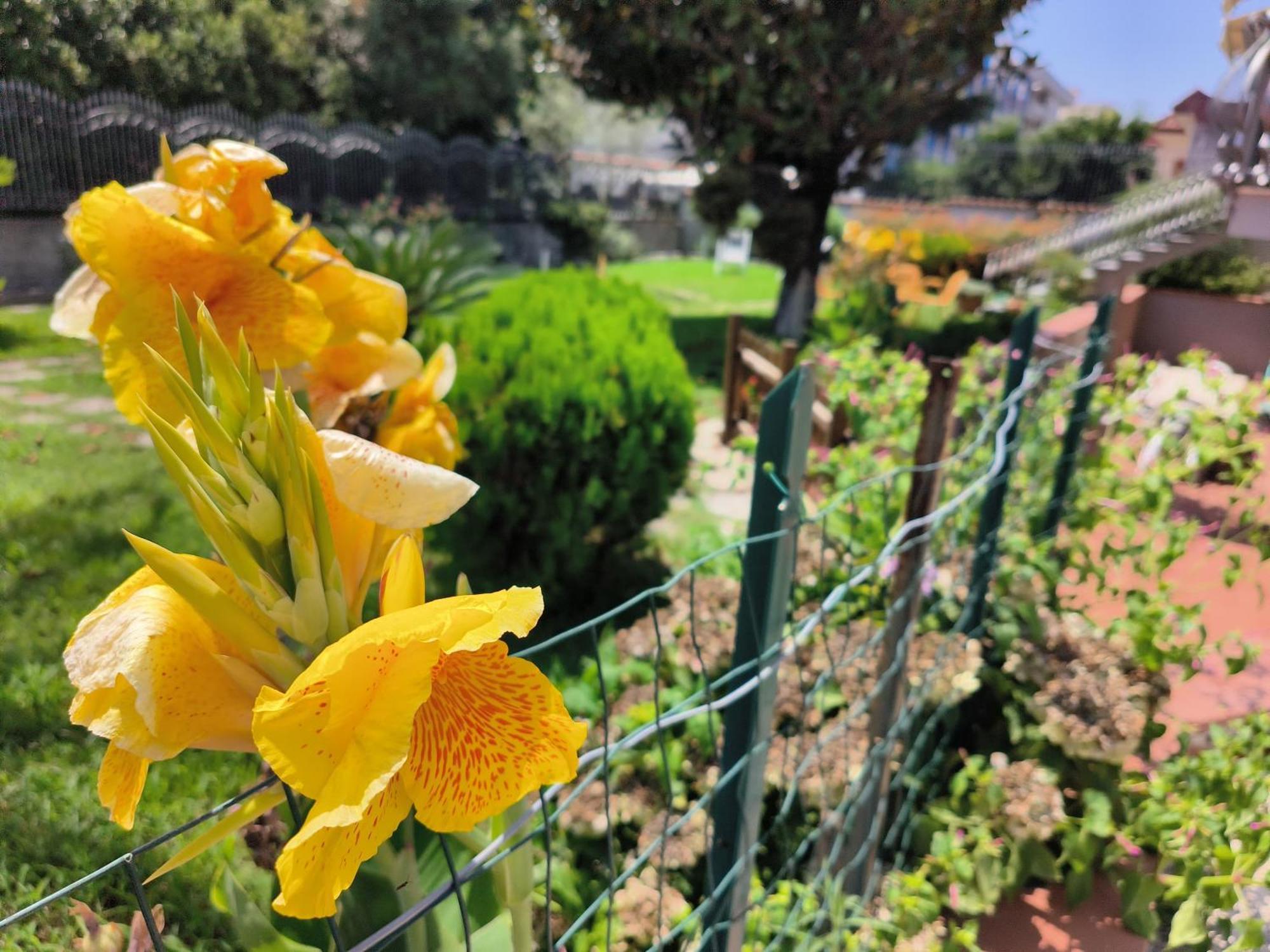 شقة I Giardini Di Plinio - Elegante E Luminoso. بوسكوريليه المظهر الخارجي الصورة