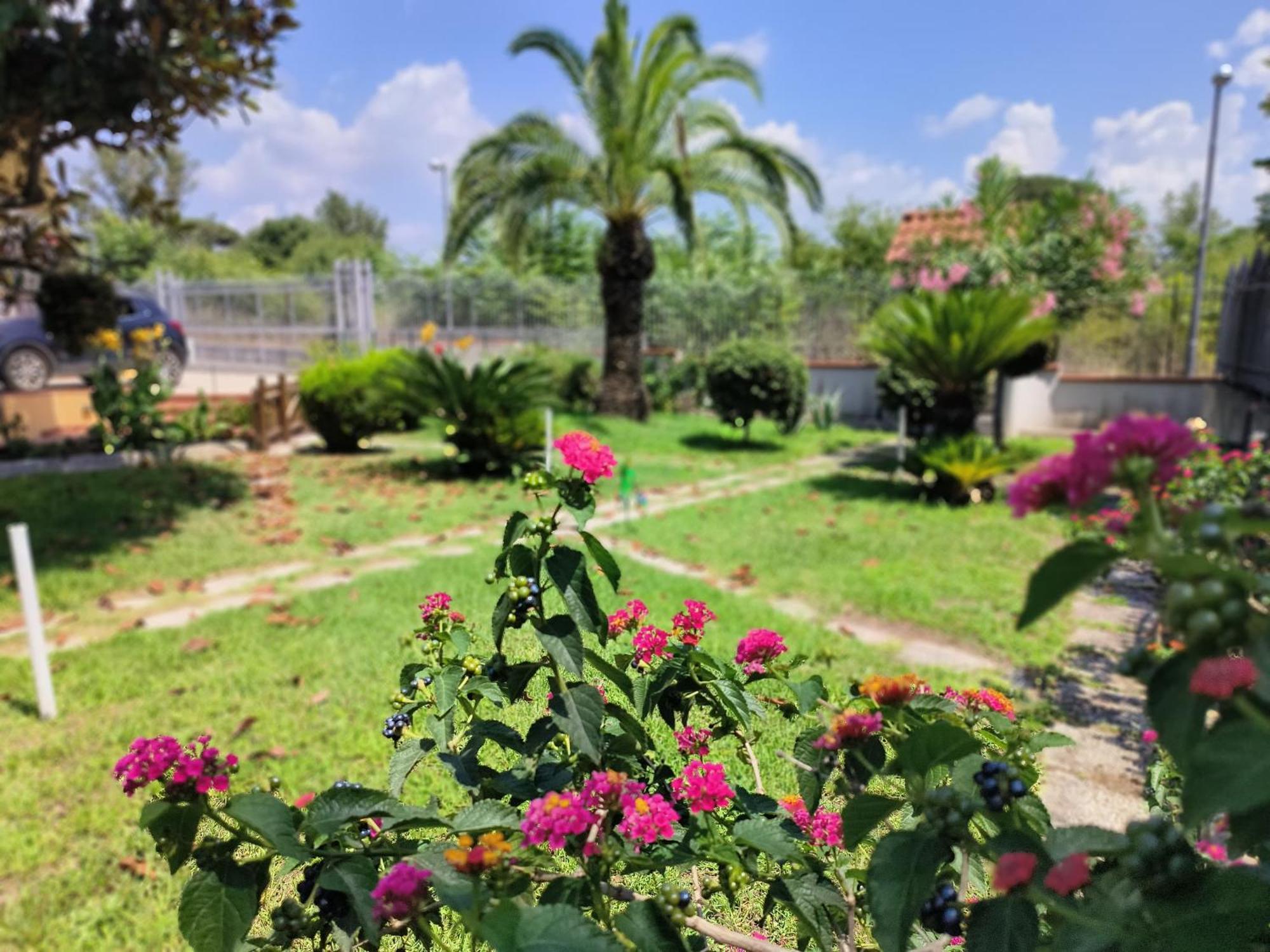 شقة I Giardini Di Plinio - Elegante E Luminoso. بوسكوريليه المظهر الخارجي الصورة
